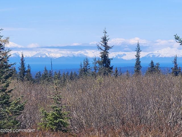 000 Misty Ridge Road, Homer, AK 99603
