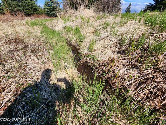 000 Misty Ridge Road, Homer, AK 99603