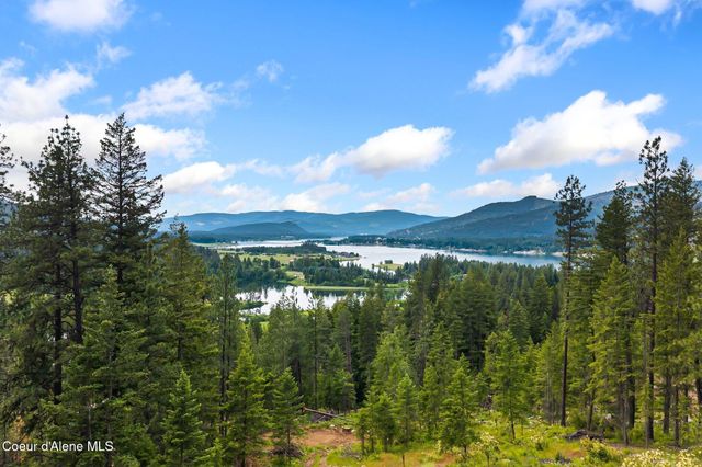 331 Towering Pines Drive, Sagle, ID 83860