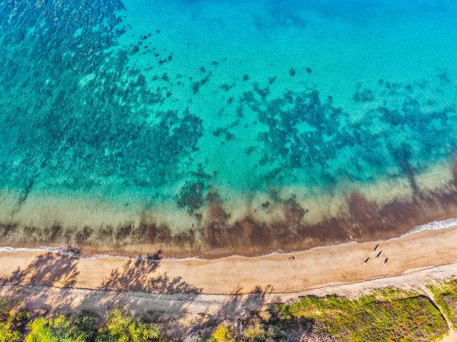 264 Palanehe St, Kihei, HI 96753