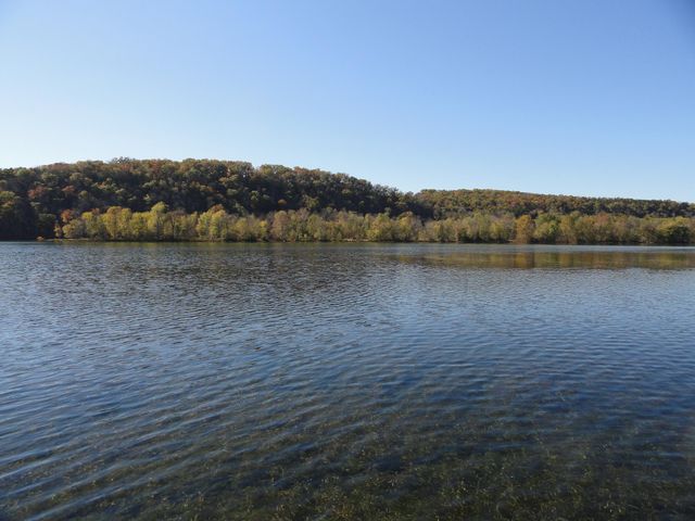 150 Sunken Forest Dr. 8-206, Forsyth, MO 65653