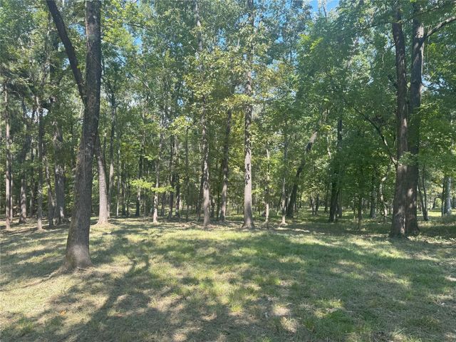 777 S Cape Royale Drive, Coldspring, TX 77331