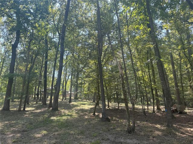 777 S Cape Royale Drive, Coldspring, TX 77331