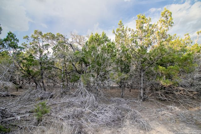 49 Cool Creek, Camp Verde, TX 78010