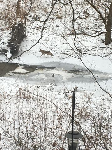 9825 Covington Boulevard, Fishers, IN 46037