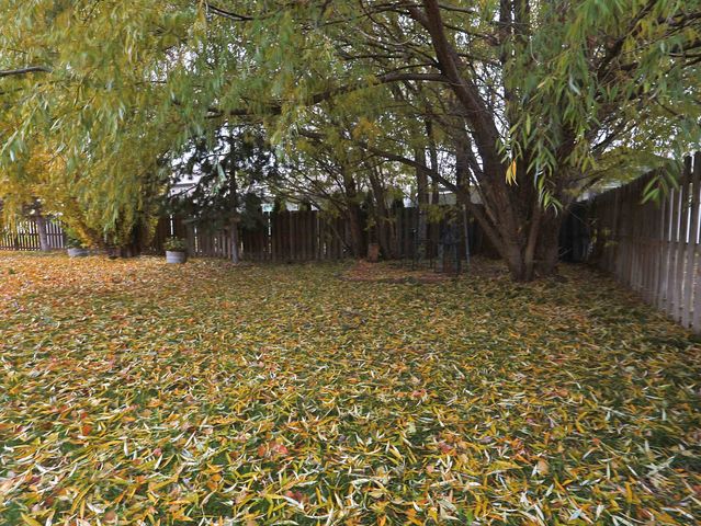 804 S QUAMASH Ct, Spokane, WA 99224