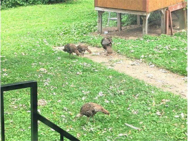 202 2nd Avenue, Frederic, WI 54837