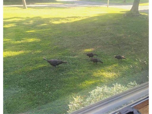 202 2nd Avenue, Frederic, WI 54837