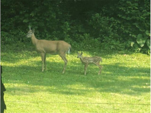 202 2nd Avenue, Frederic, WI 54837