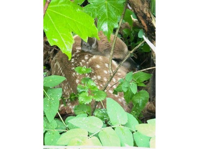 202 2nd Avenue, Frederic, WI 54837