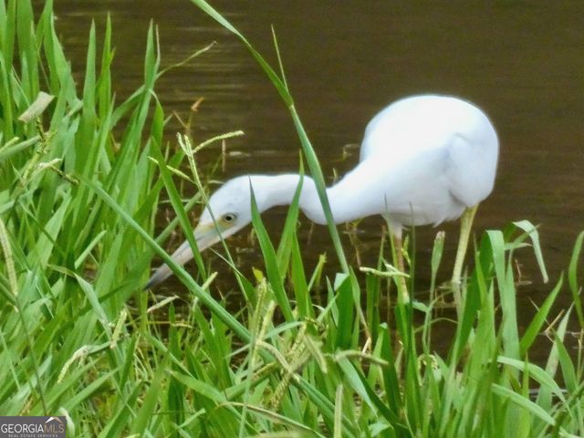 443 Beacon Court, Griffin, GA 30223