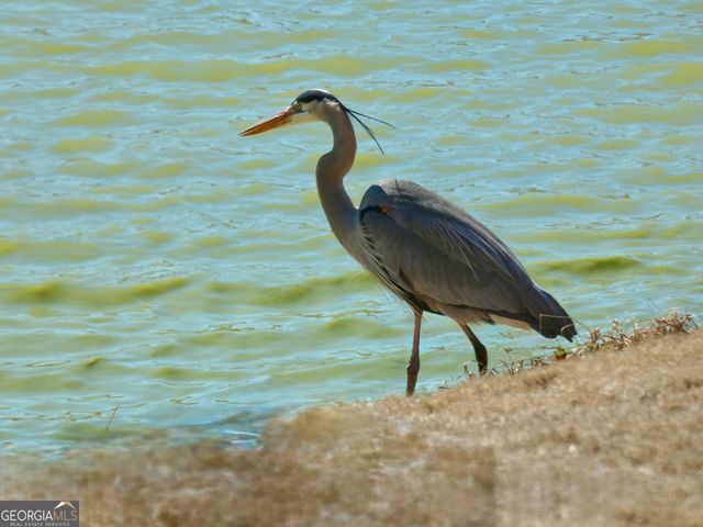 443 Beacon Court, Griffin, GA 30223