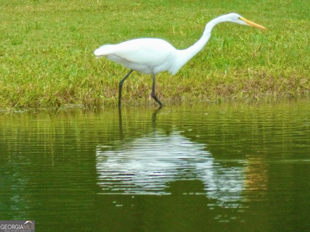 443 Beacon Court, Griffin, GA 30223