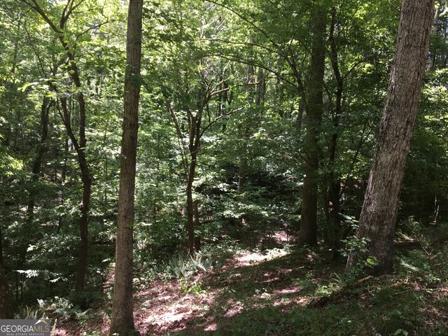 0 Damascus Road, Ball Ground, GA 30107