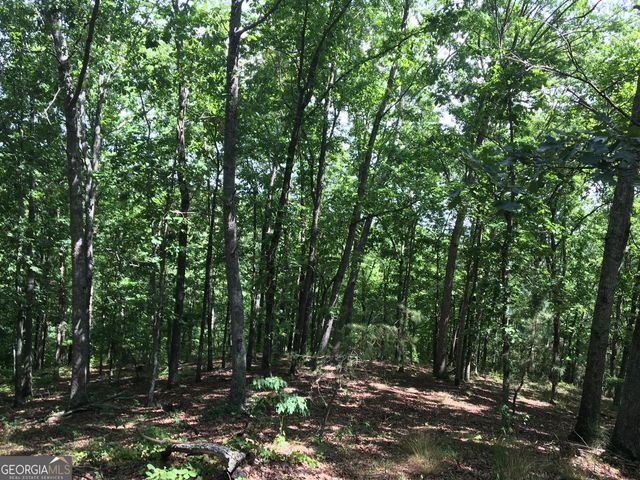 0 Damascus Road, Ball Ground, GA 30107