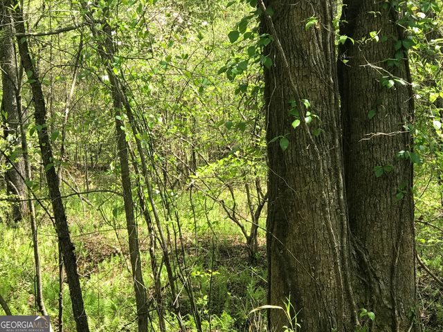 0 Damascus Road, Ball Ground, GA 30107