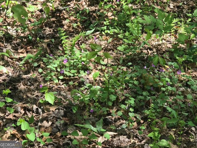 0 Damascus Road, Ball Ground, GA 30107