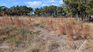 15765 Hamilton Pool RD, Austin, TX 78738