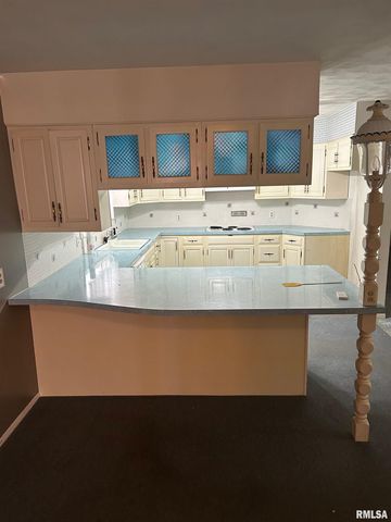 306 E POPLAR Street, Taylorville, IL 62568