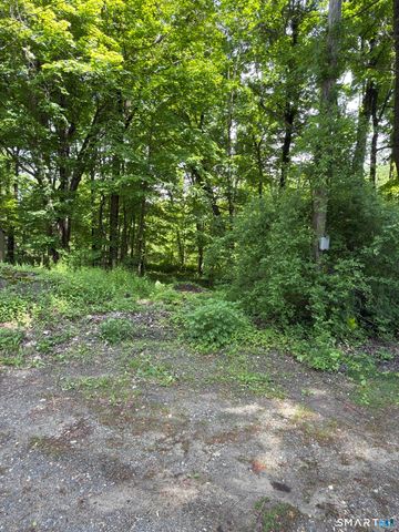319 White Oak Trail, Winchester, CT 06098