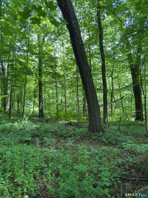 319 White Oak Trail, Winchester, CT 06098