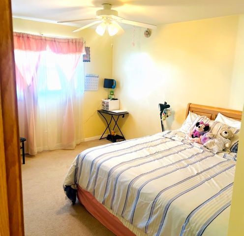 23131 S Volbrecht Road, Crete, IL 60417