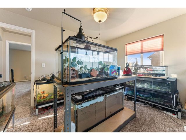 13161 River Falls Ter, Peyton, CO 80831