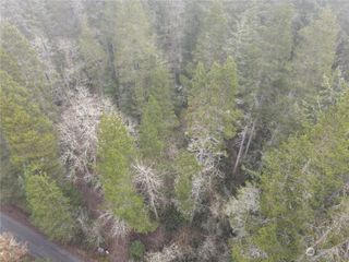 0 Pine Tree Road, Toledo, WA 98591
