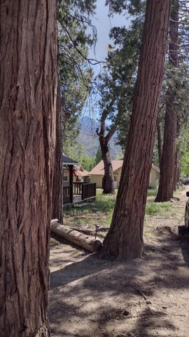 440 Trails End Drive, Camp Nelson, CA 93265