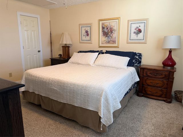 51 E Oakridge Drive, Point Blank, TX 77364