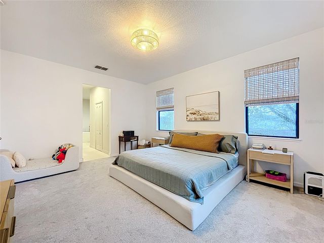 319 ARBOR POINTE AVENUE, Minneola, FL 34715