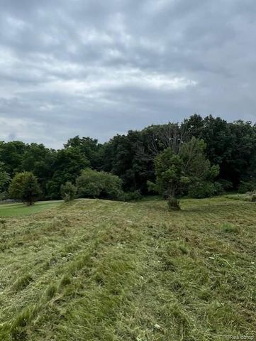 5853 Saratoga Drive, Metamora Township, MI 48371