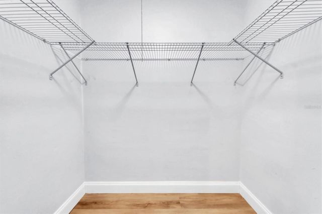 315 BUTTONWOOD LANE, Largo, FL 33770