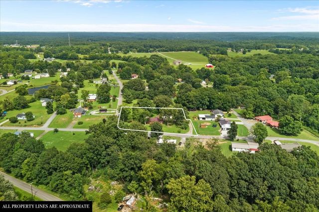 166 Parrish Ln, Mc Ewen, TN 37101