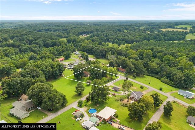 166 Parrish Ln, Mc Ewen, TN 37101