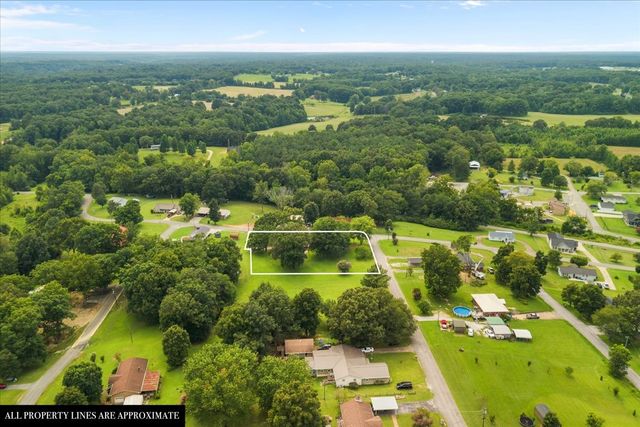 166 Parrish Ln, Mc Ewen, TN 37101