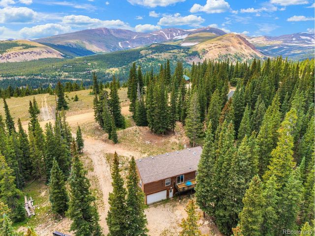 1167 Mountain View Dr, Fairplay, CO 80440