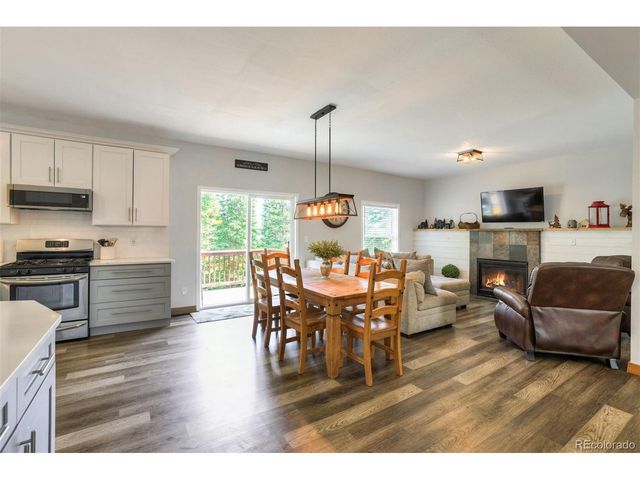 1167 Mountain View Dr, Fairplay, CO 80440