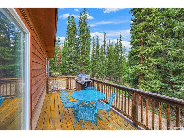 1167 Mountain View Dr, Fairplay, CO 80440