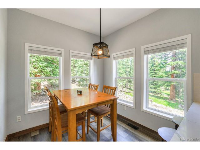 1167 Mountain View Dr, Fairplay, CO 80440