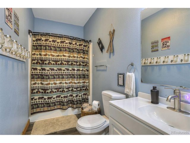 1167 Mountain View Dr, Fairplay, CO 80440