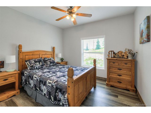 1167 Mountain View Dr, Fairplay, CO 80440