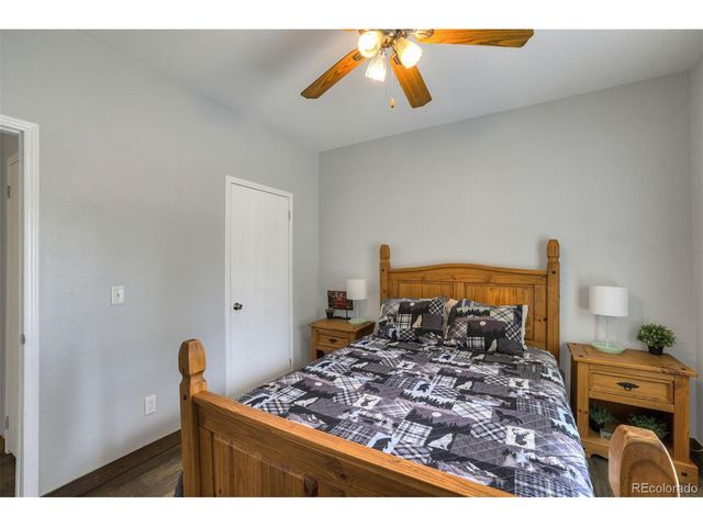 1167 Mountain View Dr, Fairplay, CO 80440