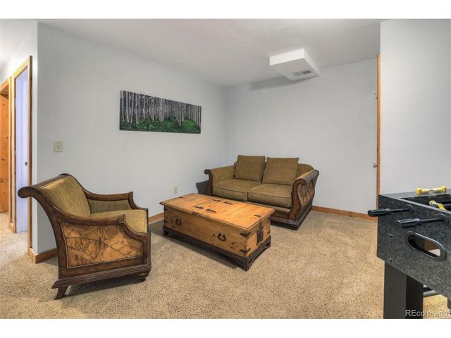 1167 Mountain View Dr, Fairplay, CO 80440