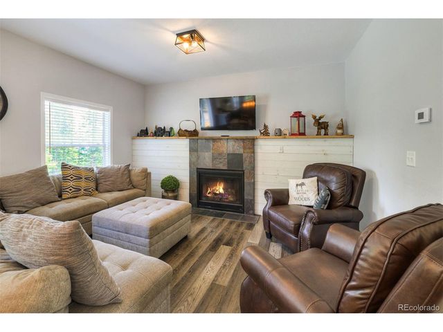 1167 Mountain View Dr, Fairplay, CO 80440