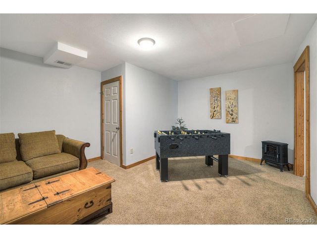 1167 Mountain View Dr, Fairplay, CO 80440