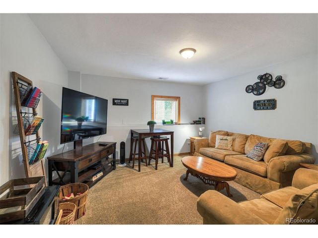 1167 Mountain View Dr, Fairplay, CO 80440