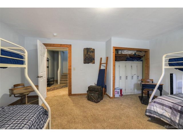 1167 Mountain View Dr, Fairplay, CO 80440