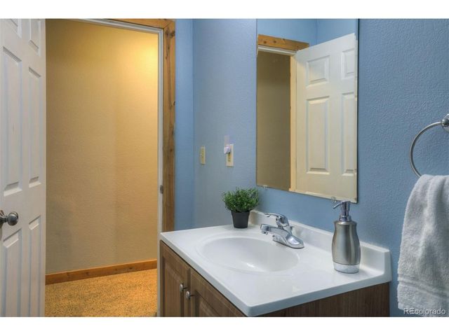 1167 Mountain View Dr, Fairplay, CO 80440