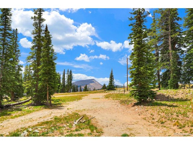 1167 Mountain View Dr, Fairplay, CO 80440